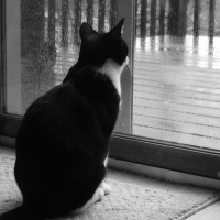 Производство счастья